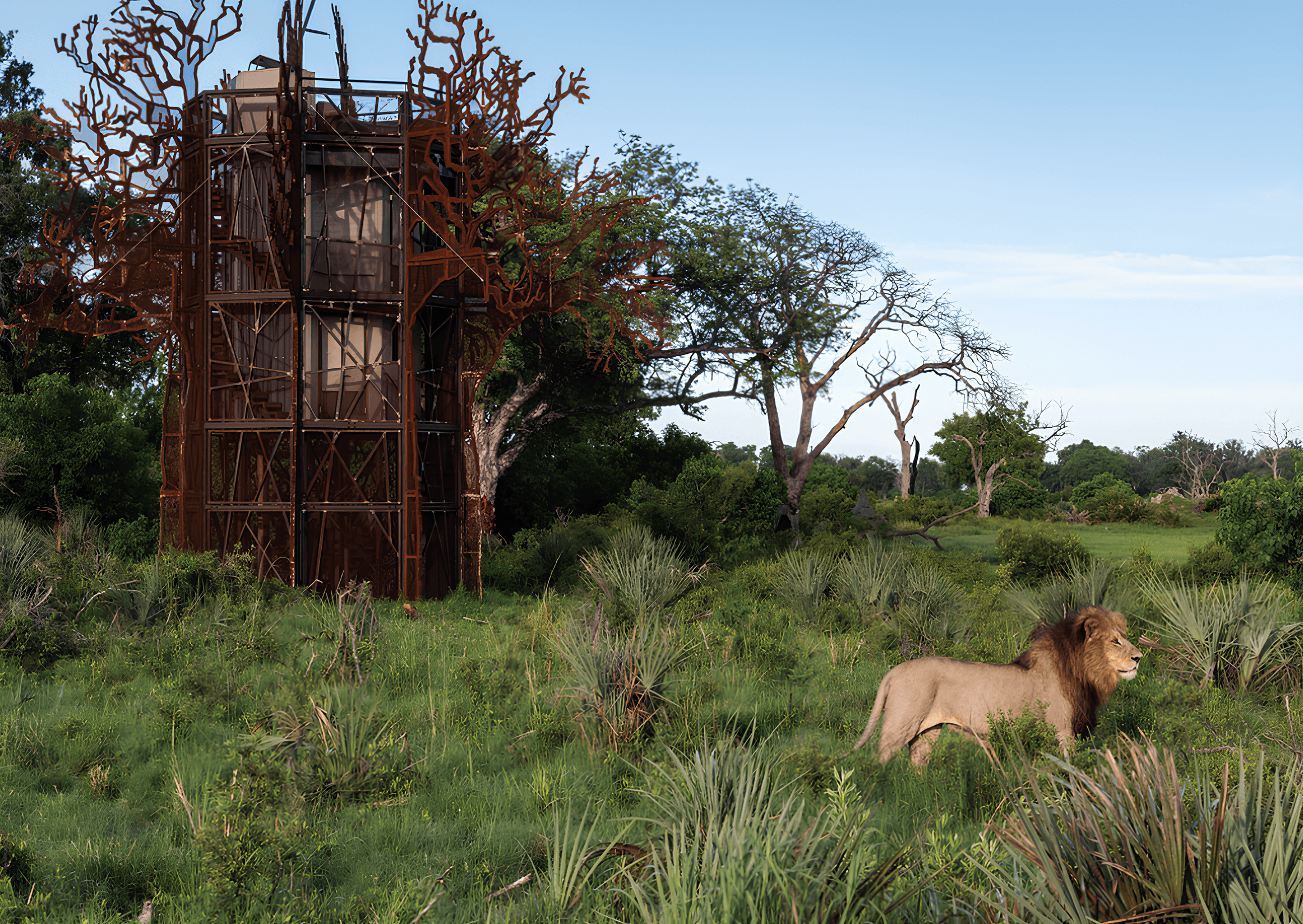 A Luxurious Safari Adventure with Red Carnation Hotels - Hero 5