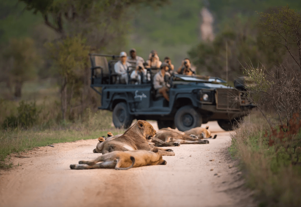 Singita - Singita Lebombo Lodge