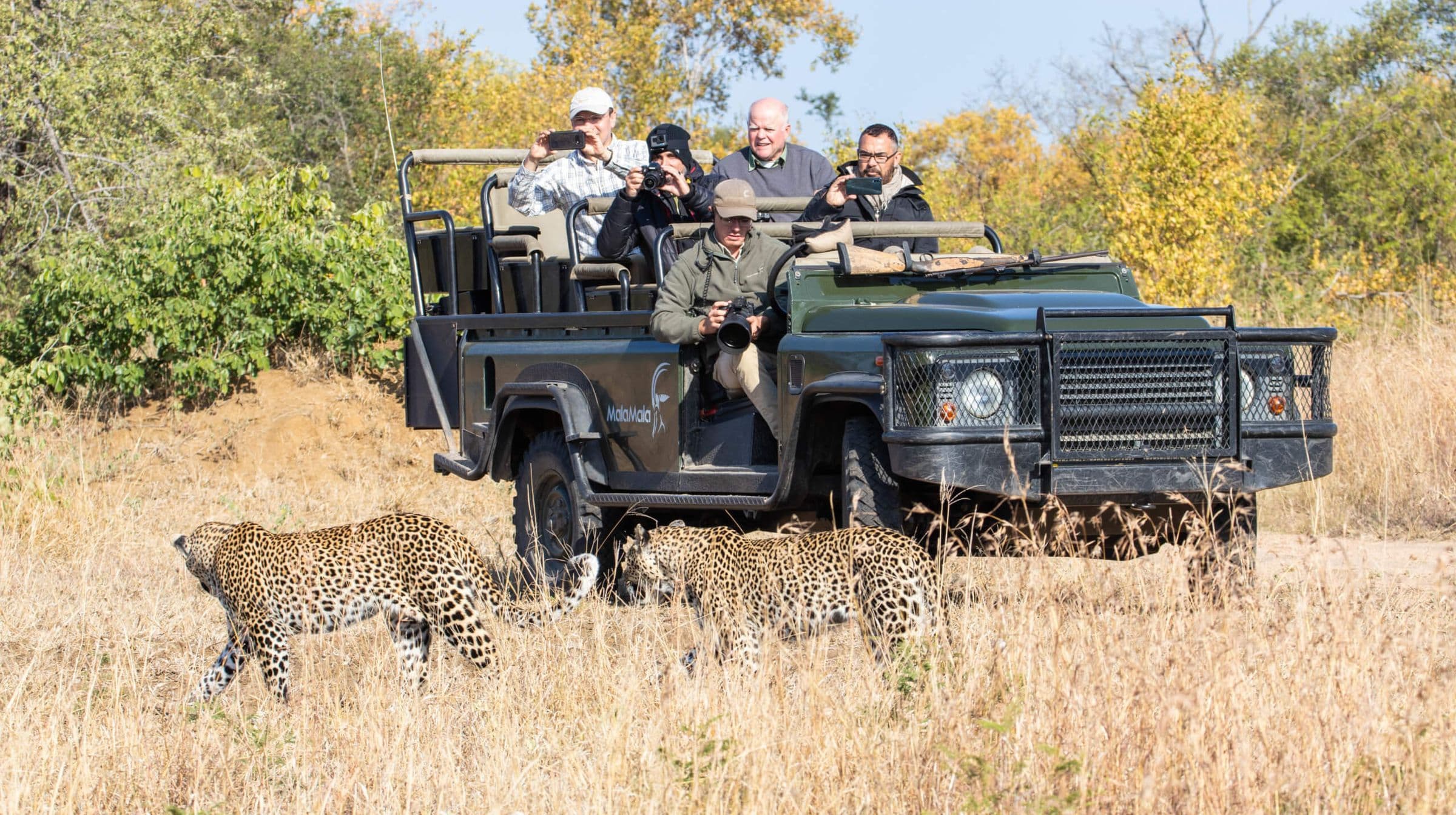 Malamala Game Reserve - Hero