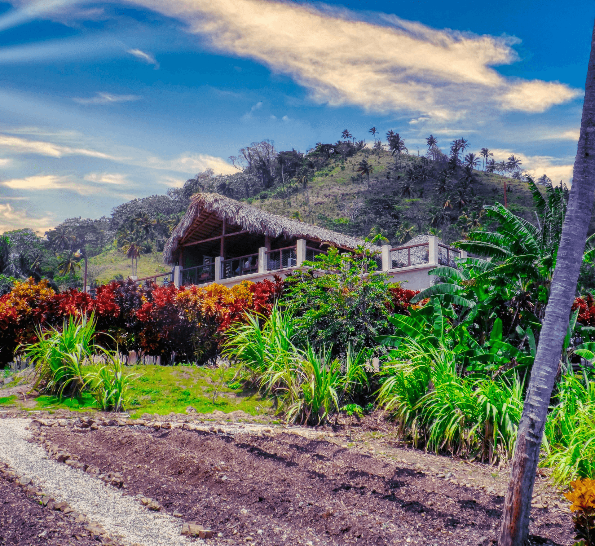 Caribbean Dominican Republic