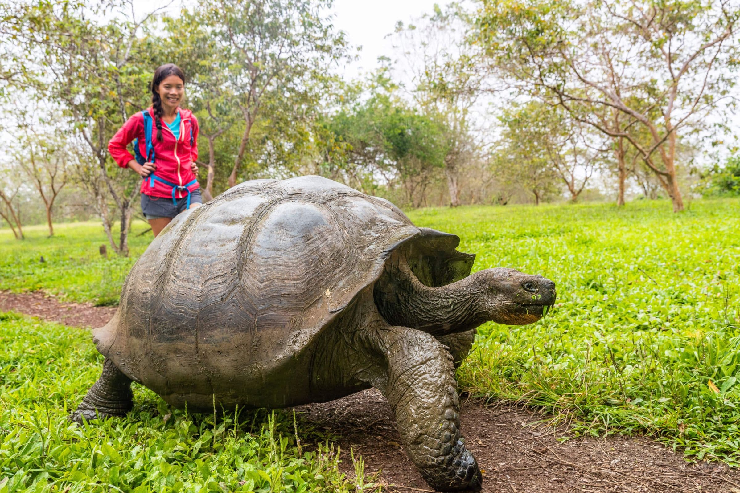 Ecuador's Treasures: Exploring the Galápagos Islands - Hero 2