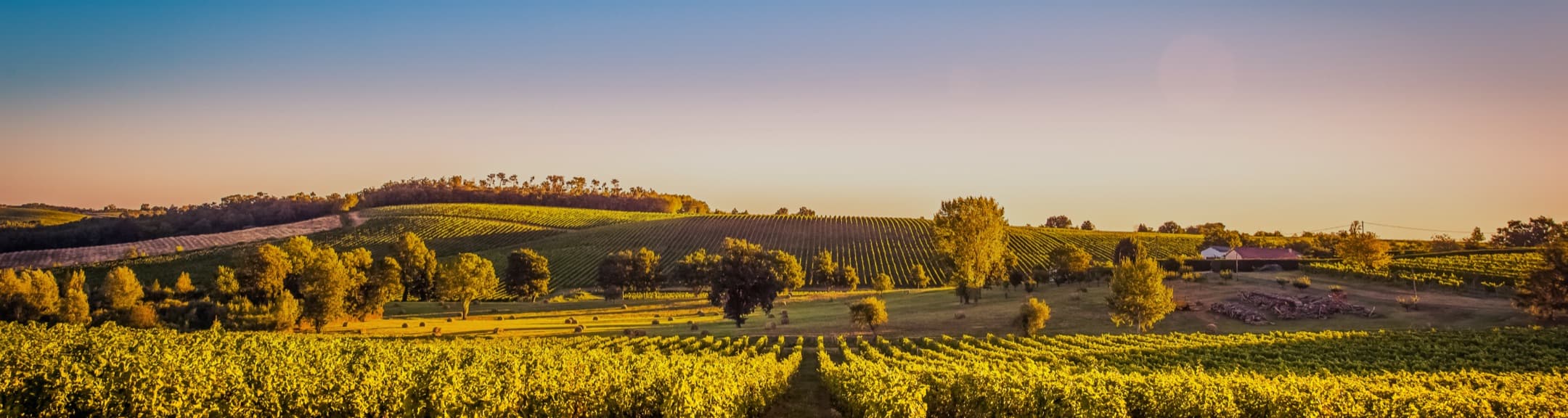 France for Food and Wine Lovers - Hero