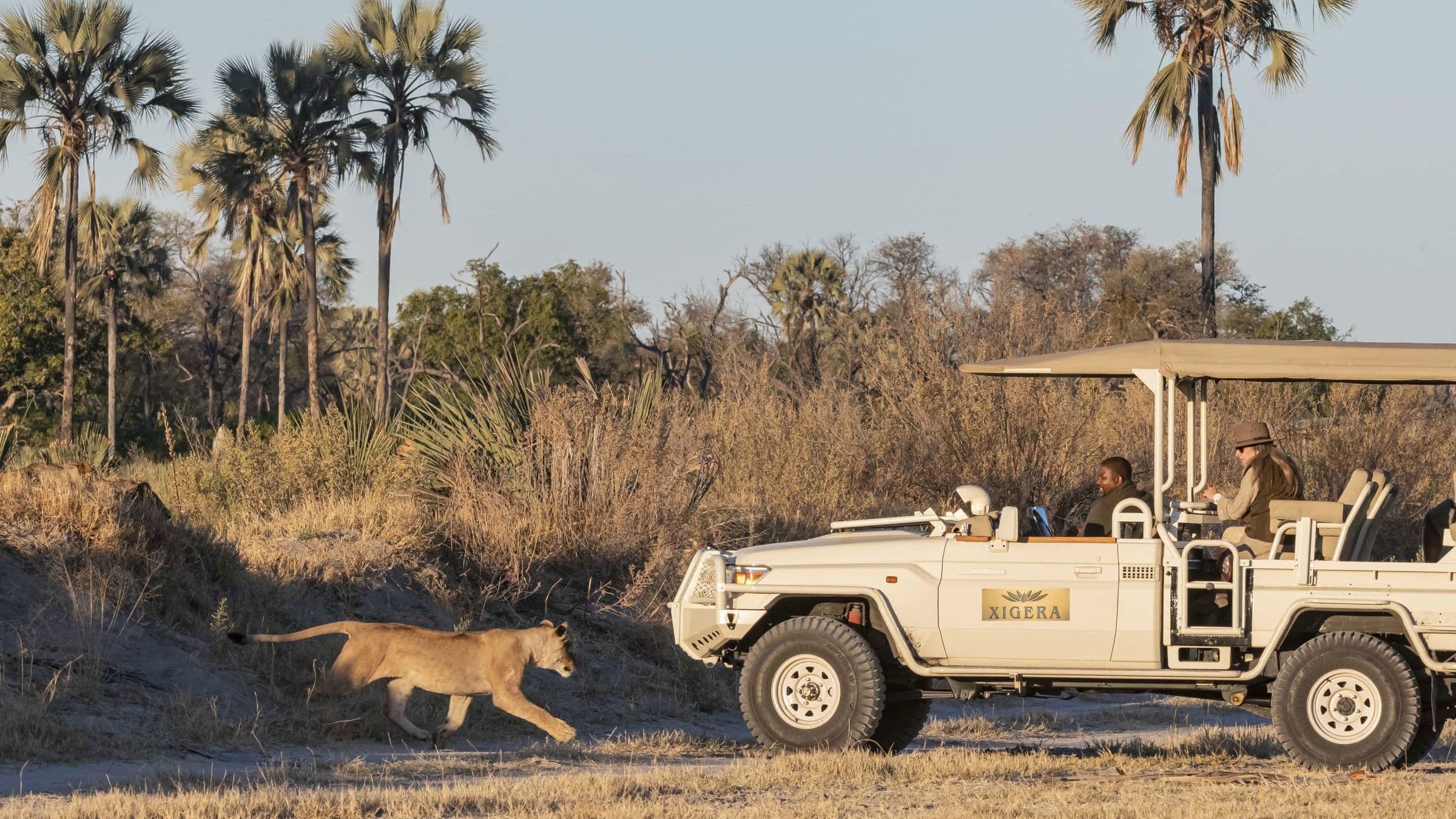 A Luxurious Safari Adventure with Red Carnation Hotels - Hero