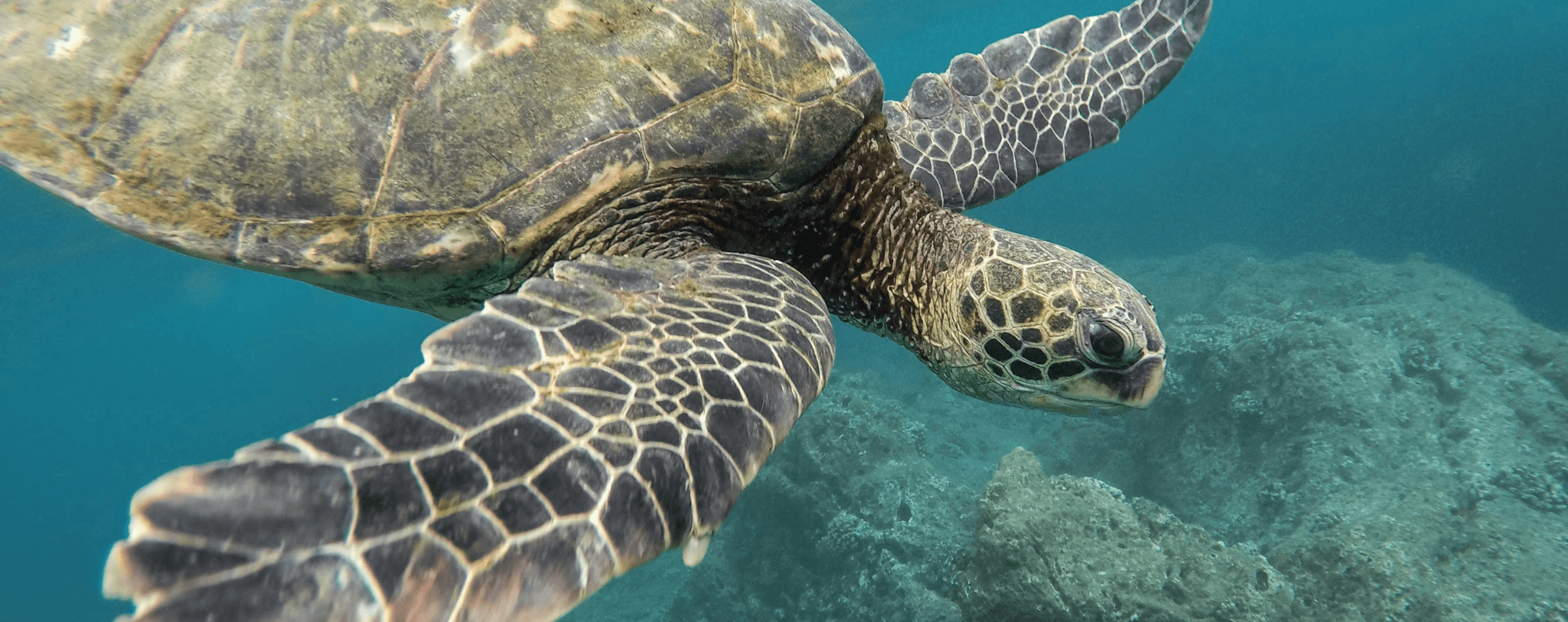 Galápagos Islands - Hero