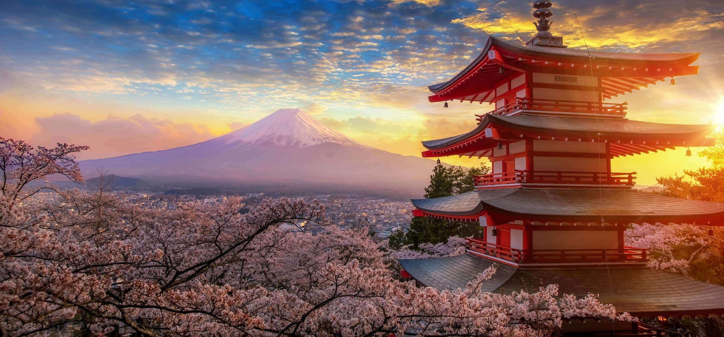 Japan in Bloom - Hero