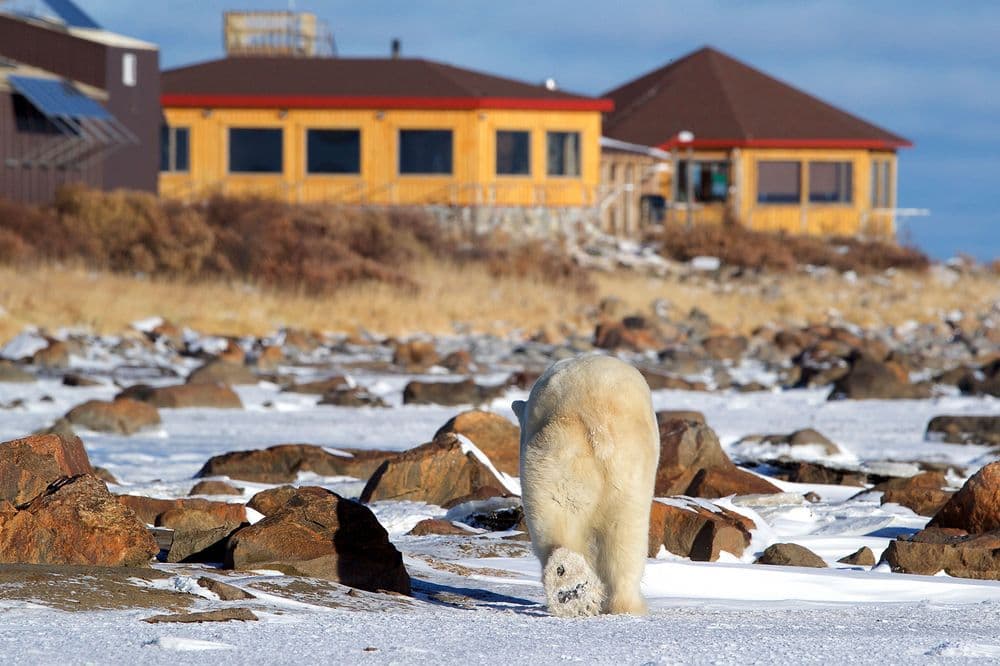 Seal River Heritage Lodge