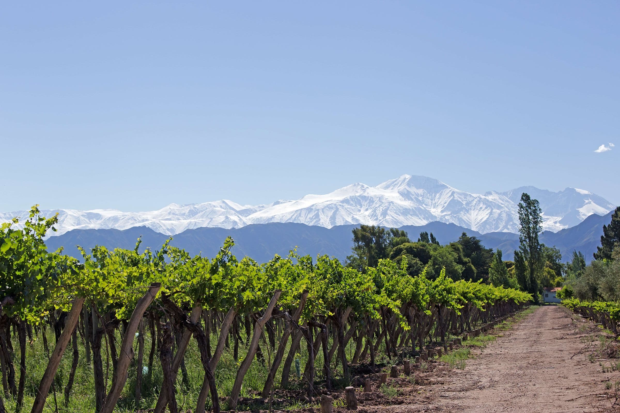 Argentina and Chile Wine Itinerary - Hero