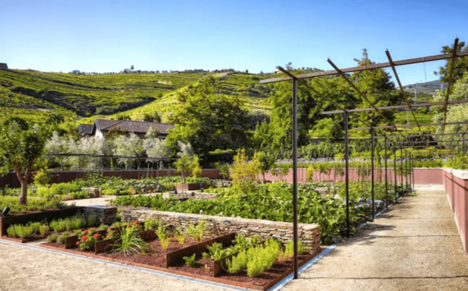 Six Senses Douro Valley