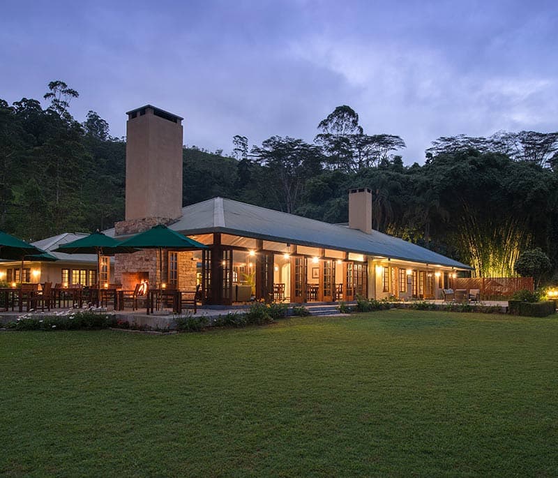 Tea Trails Bungalow