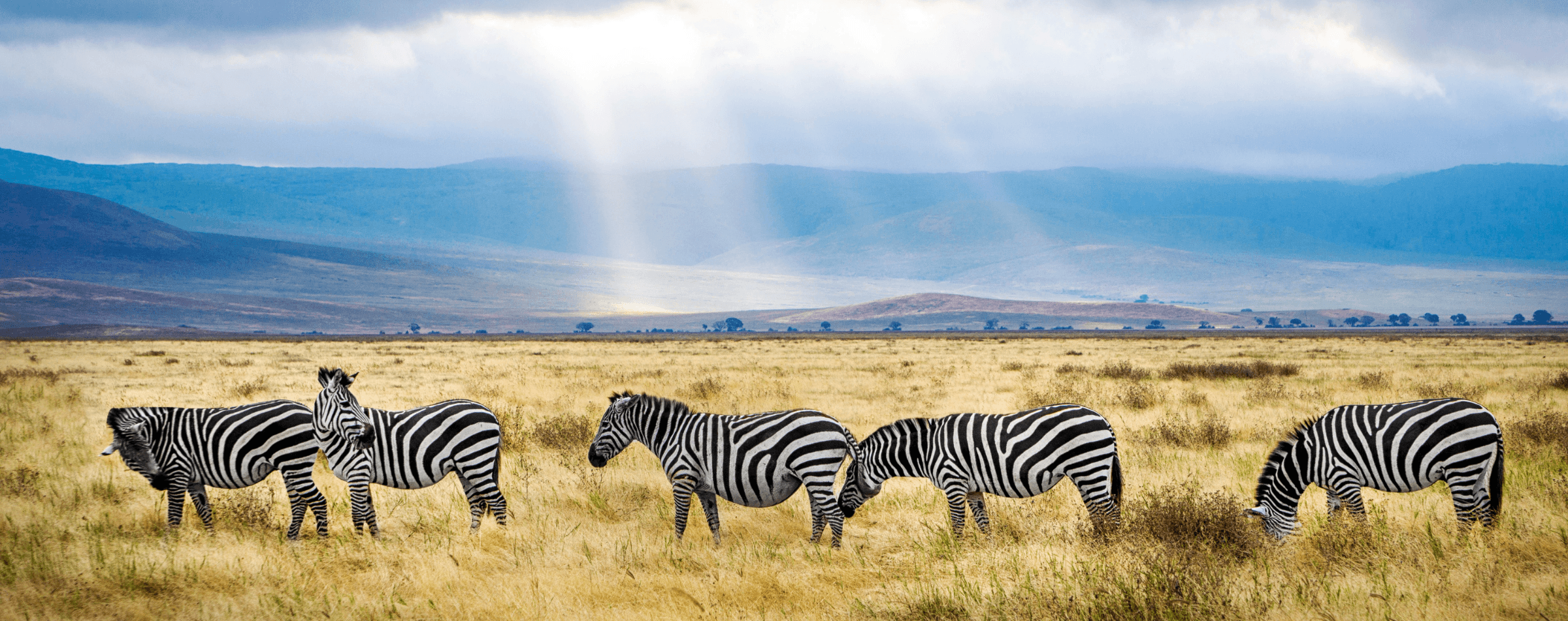 Tanzania - Hero
