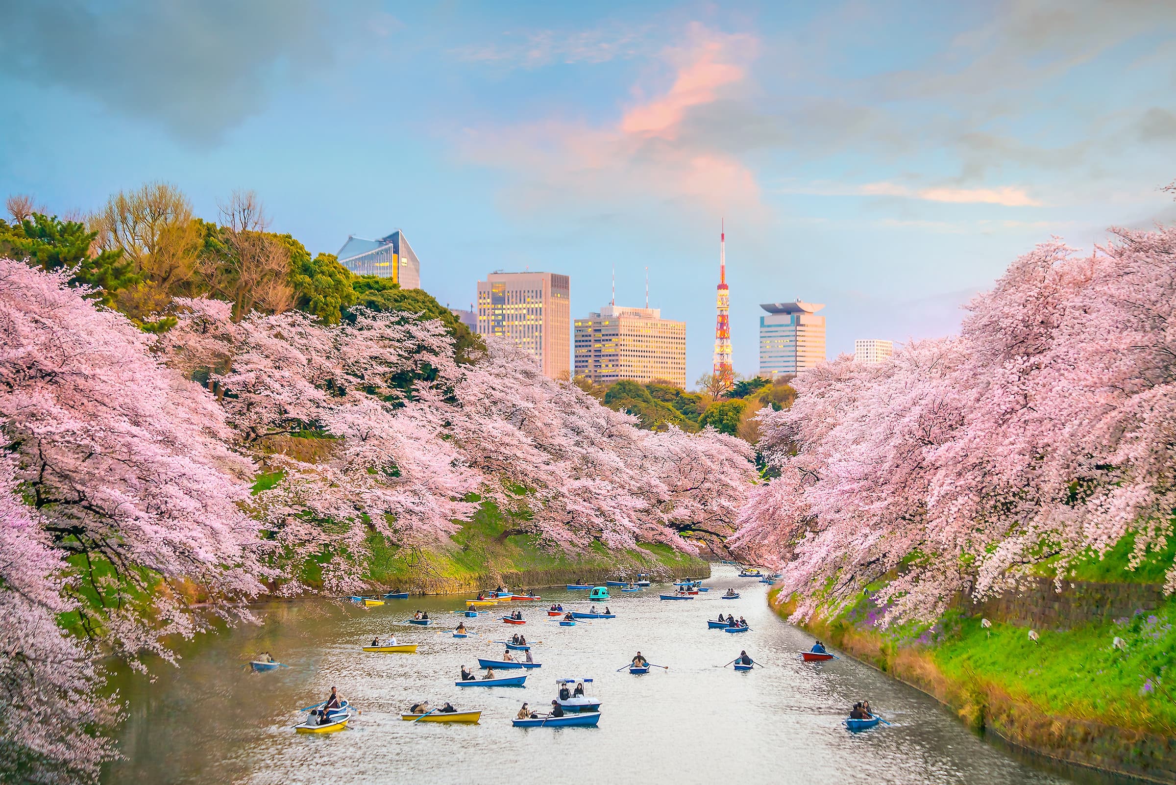 Culture and Cuisine in Japan - Hero