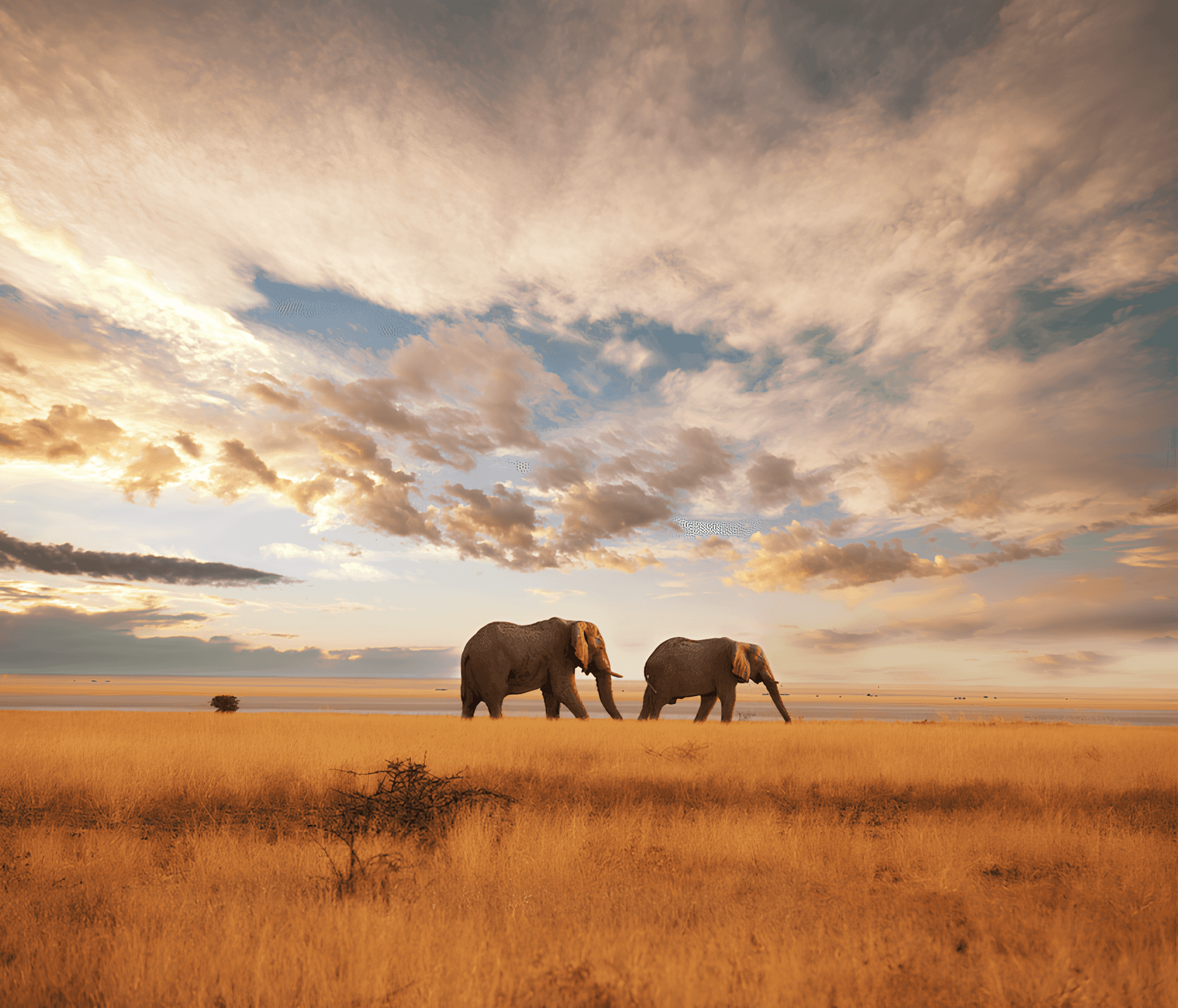 Kenya and Tanzania Safari Adventure - Hero