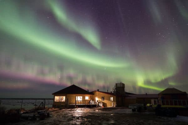 Seal River Heritage Lodge