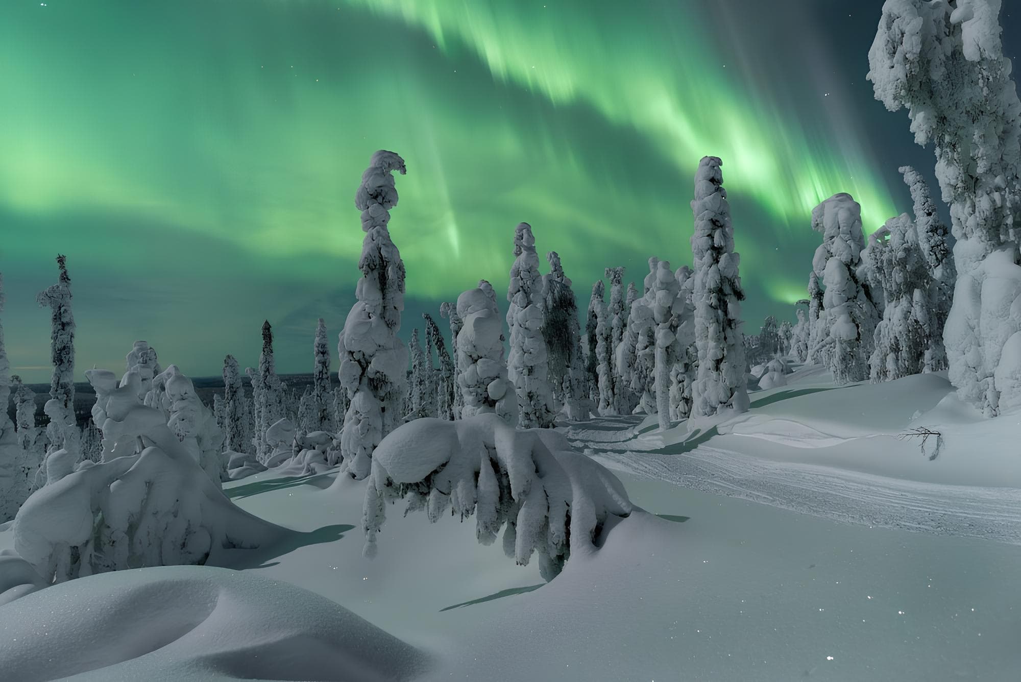 Chasing the Aurora: A Finnish Adventure - Hero 5