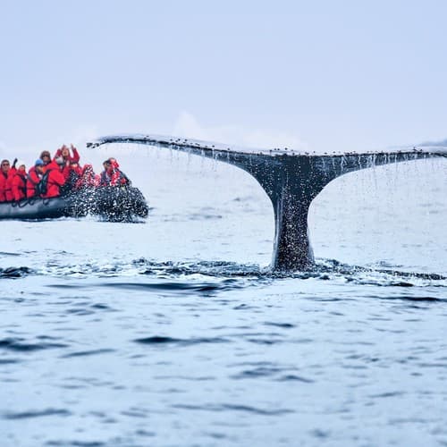 Silversea - Silversea Expeditions Webinar