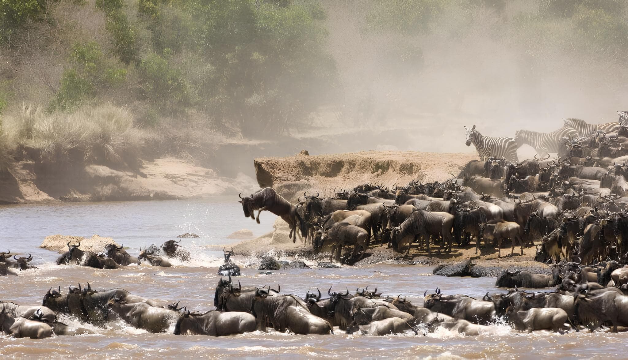 Tauck: Kenya & Tanzania - A Classic Safari - Hero 3