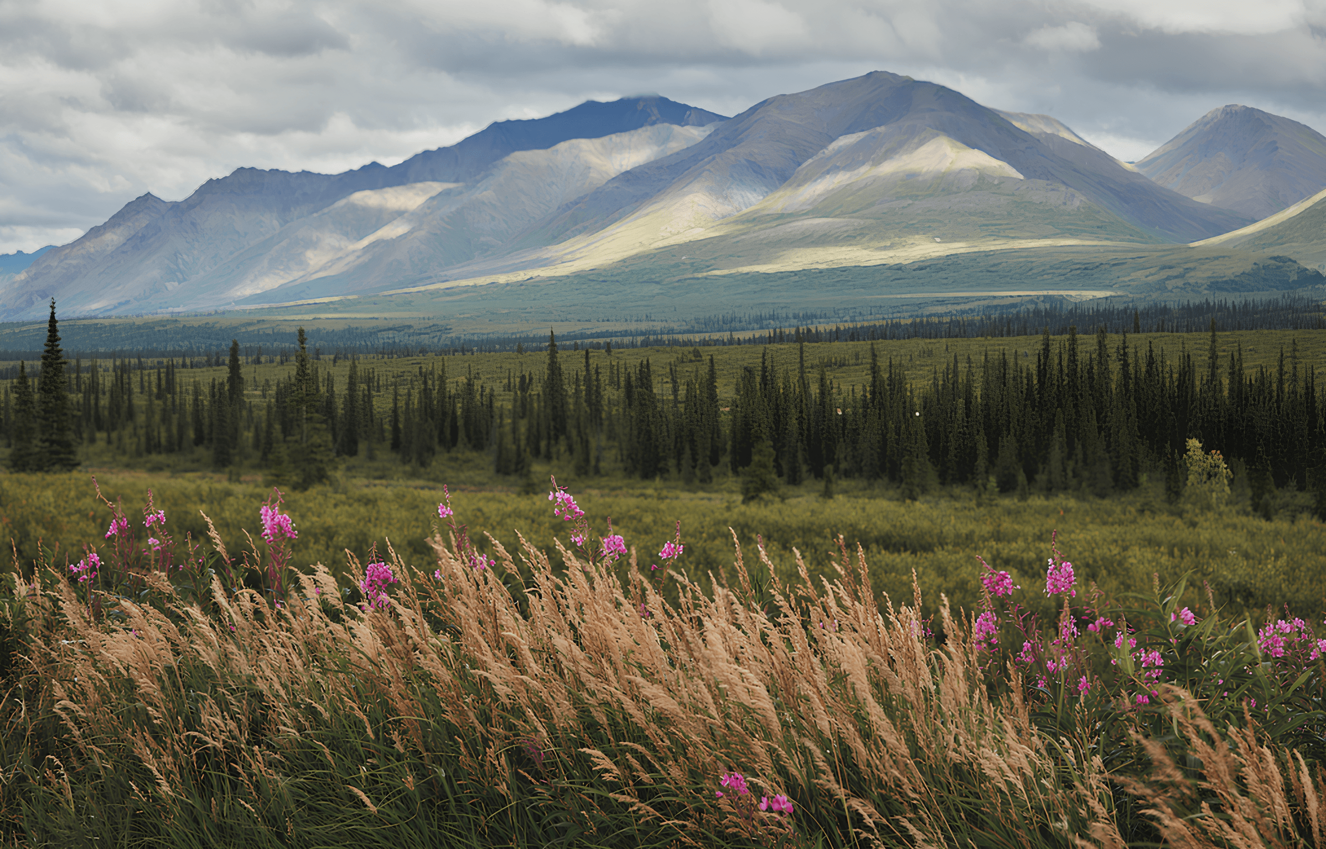 Tauck: Alaska - Call of the Wild - Hero