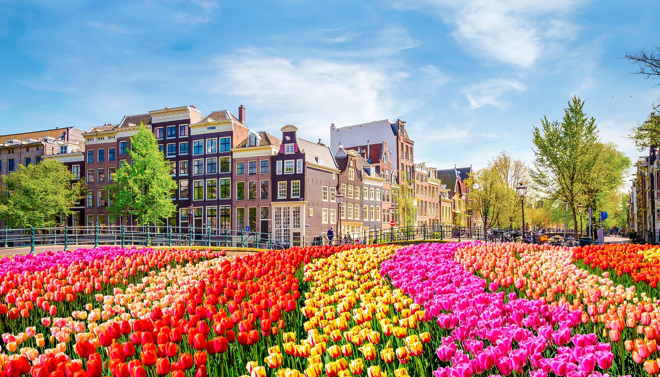 Flavors and Elegance: Amsterdam to Belgium - Hero 6