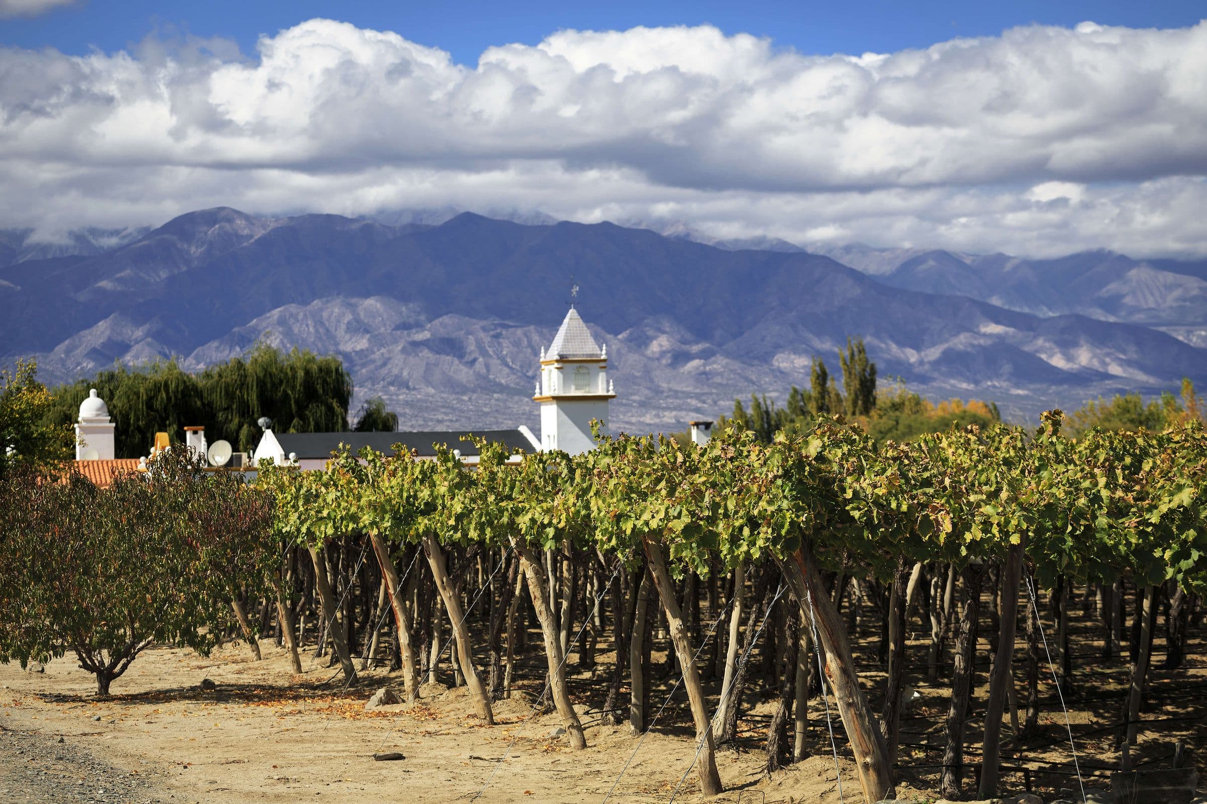 Argentina and Chile Wine Itinerary - Hero 2