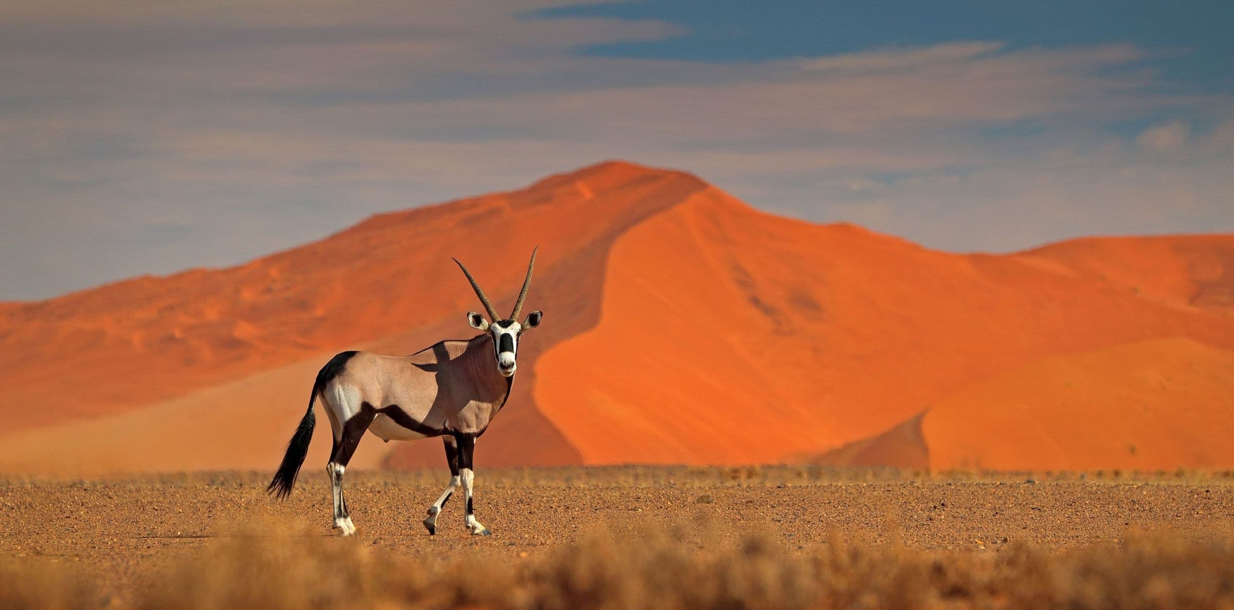 Namibia - Hero