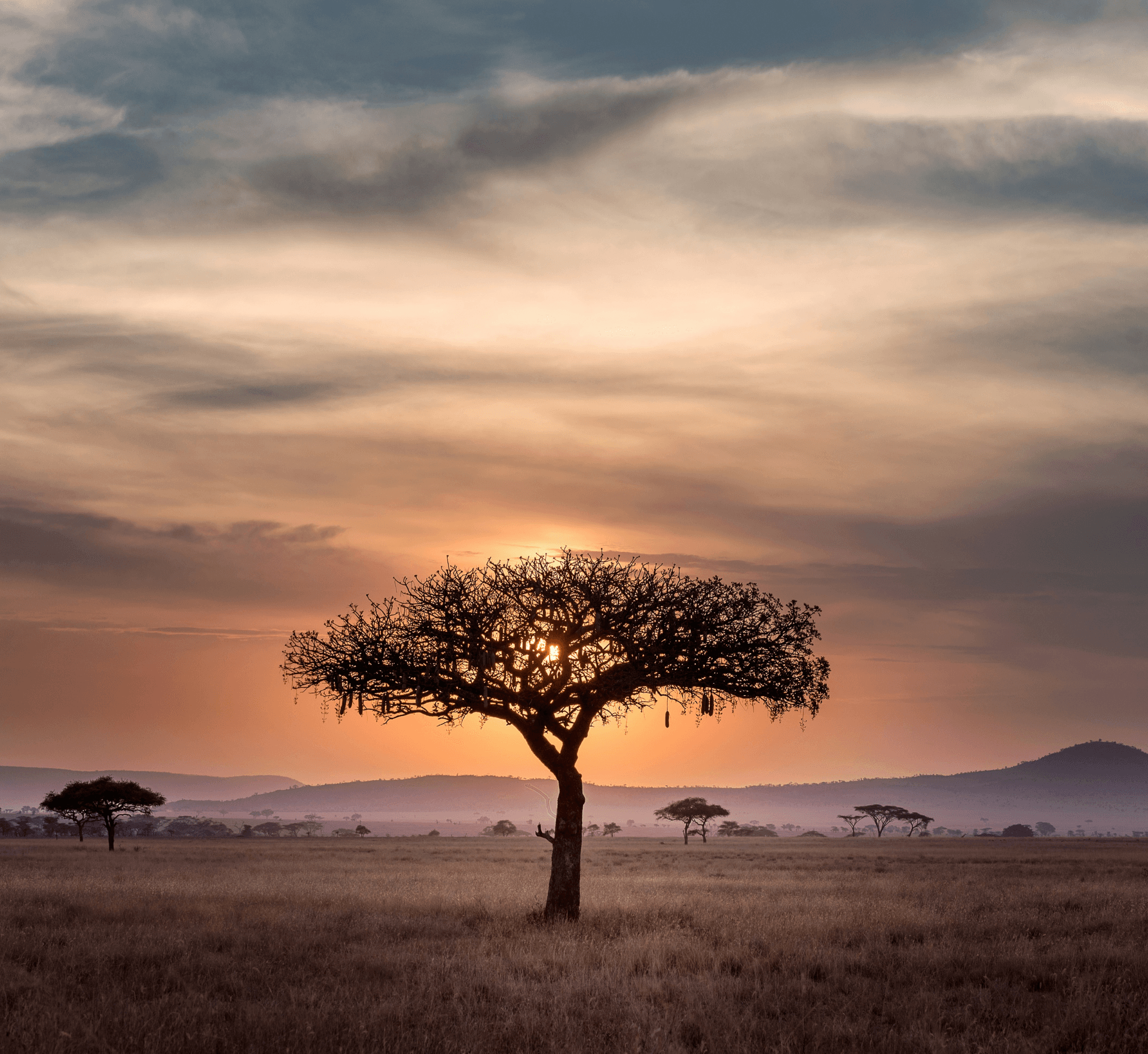 Africa Tanzania