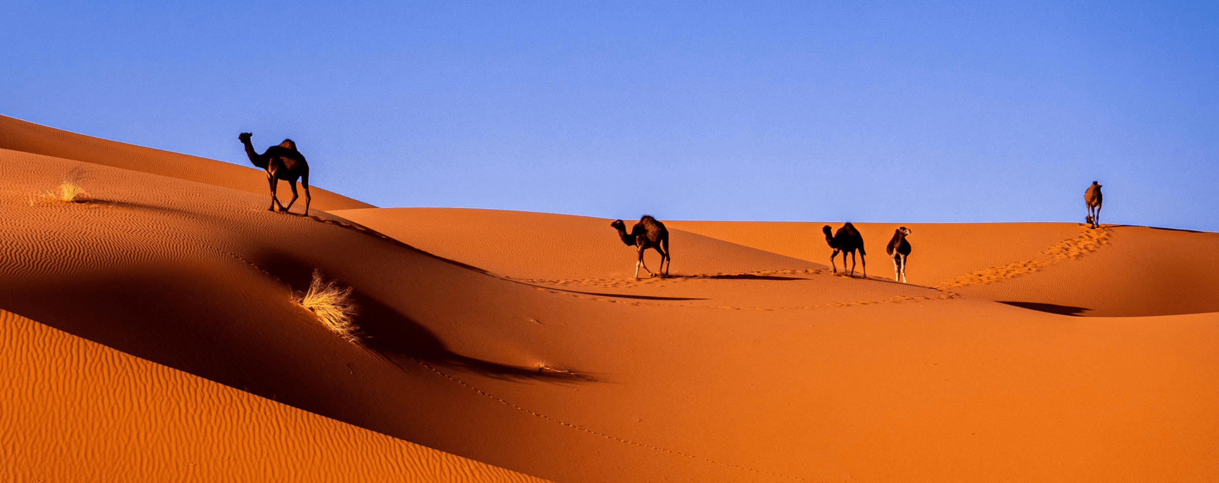 Morocco - Hero