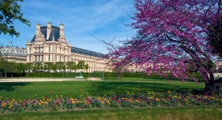 Jardin des Tuileries