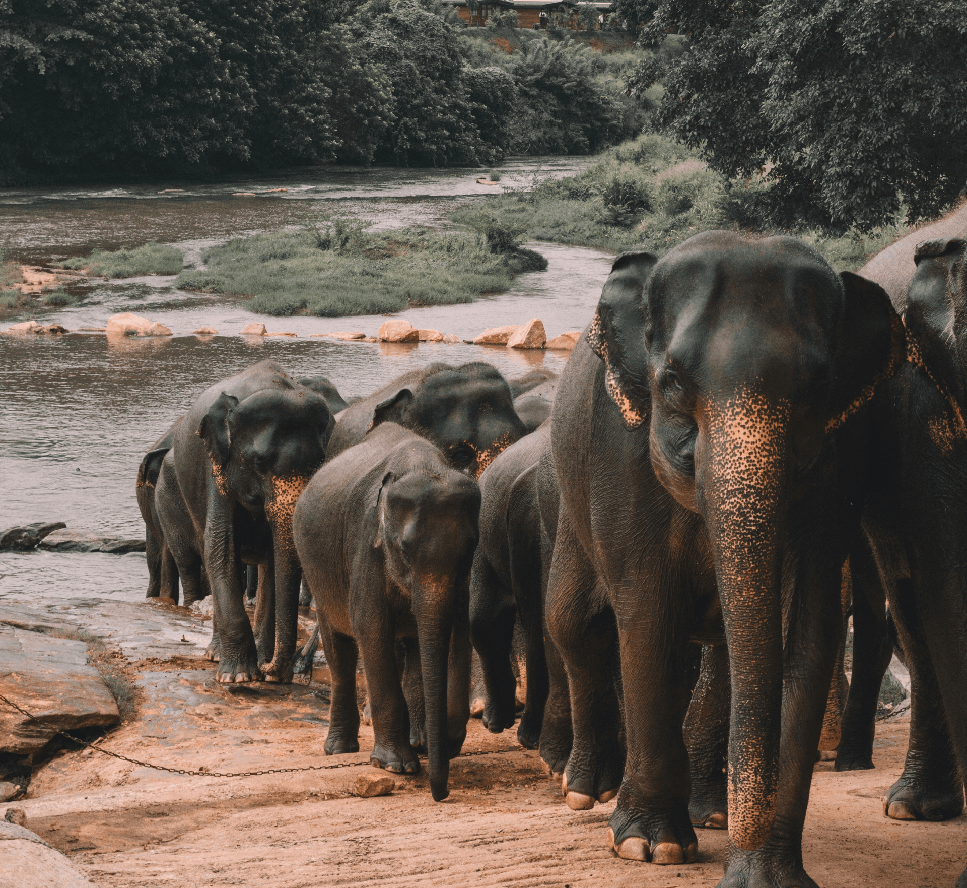 Asia Sri Lanka