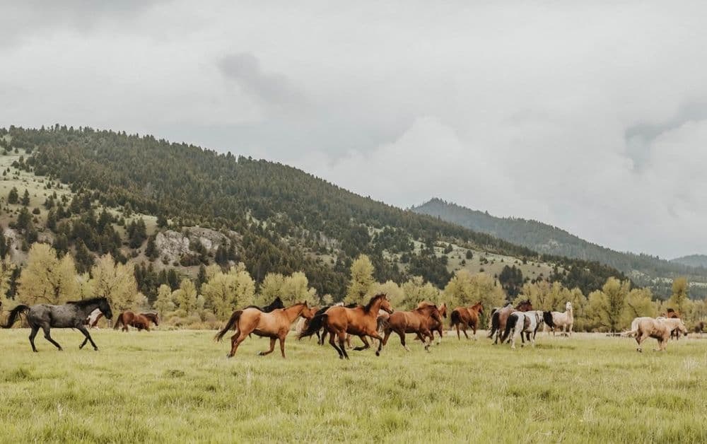 The Ranch at Rock Creek