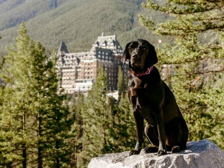 Fairmont Banff Springs Exterior
