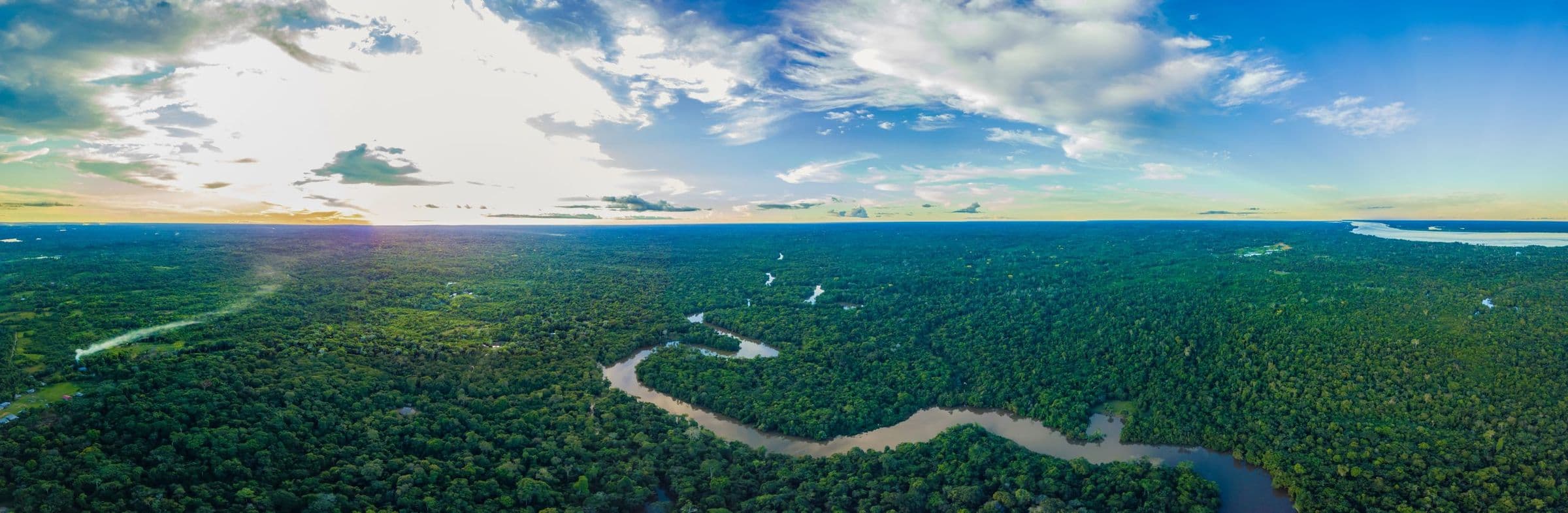 Hidden Treasures of the Amazon Rainforest - Hero