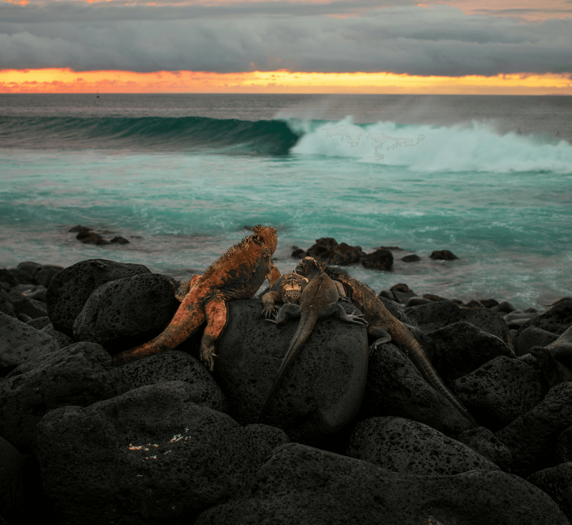 South America Galapagos