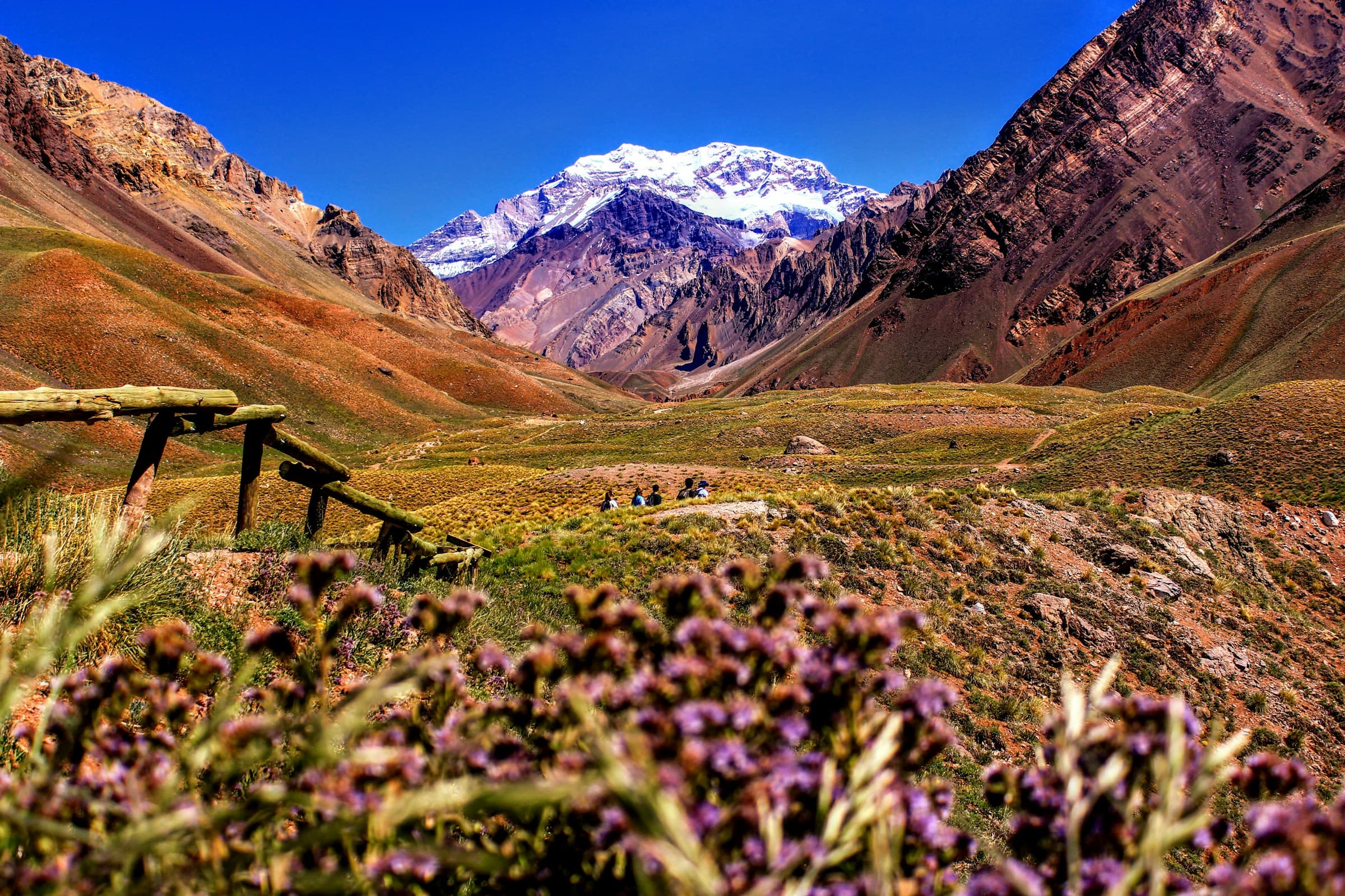 Flavors & Falls: A Culinary Journey Through Argentina - Hero 3