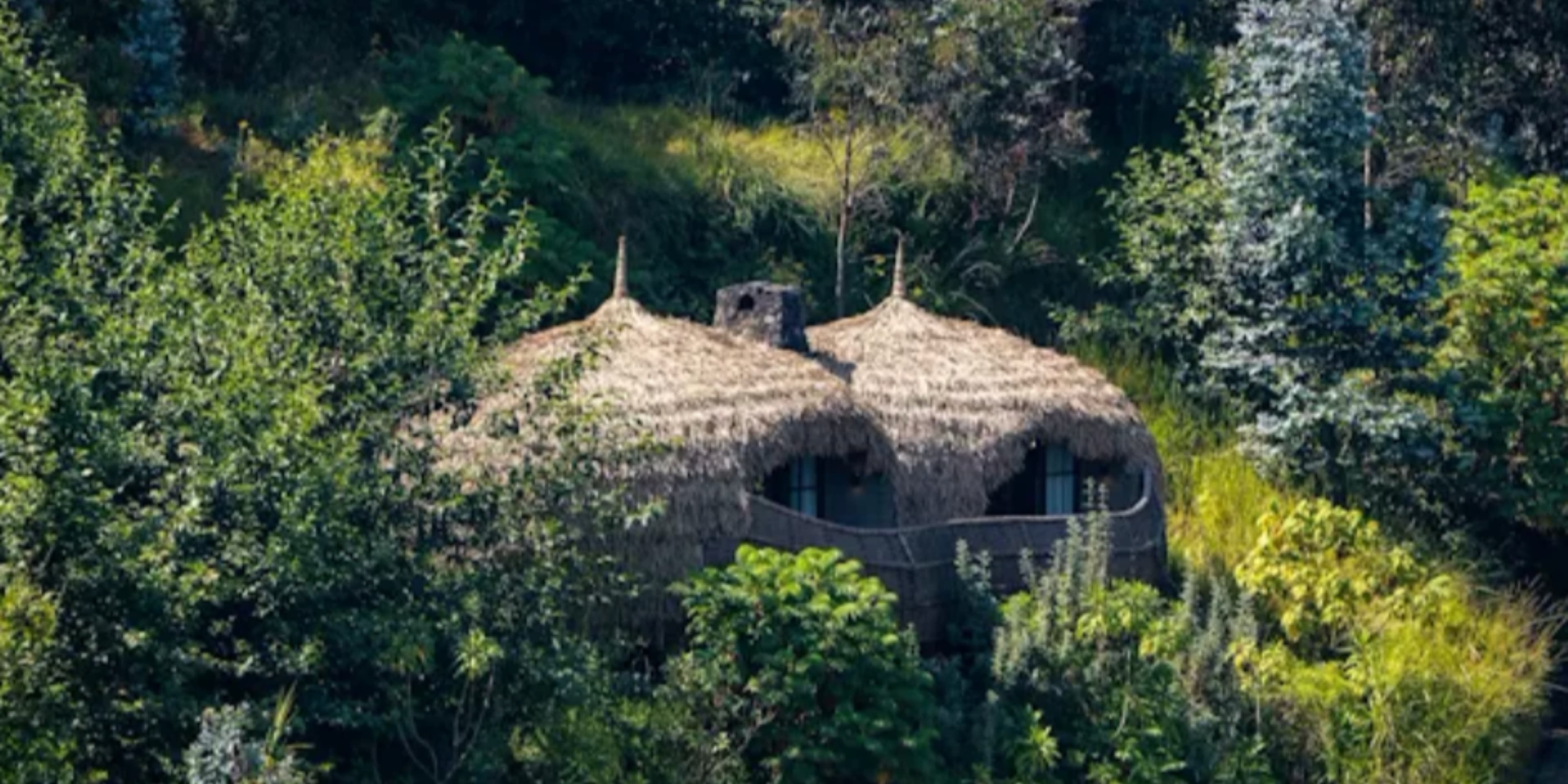 Bisate Lodge