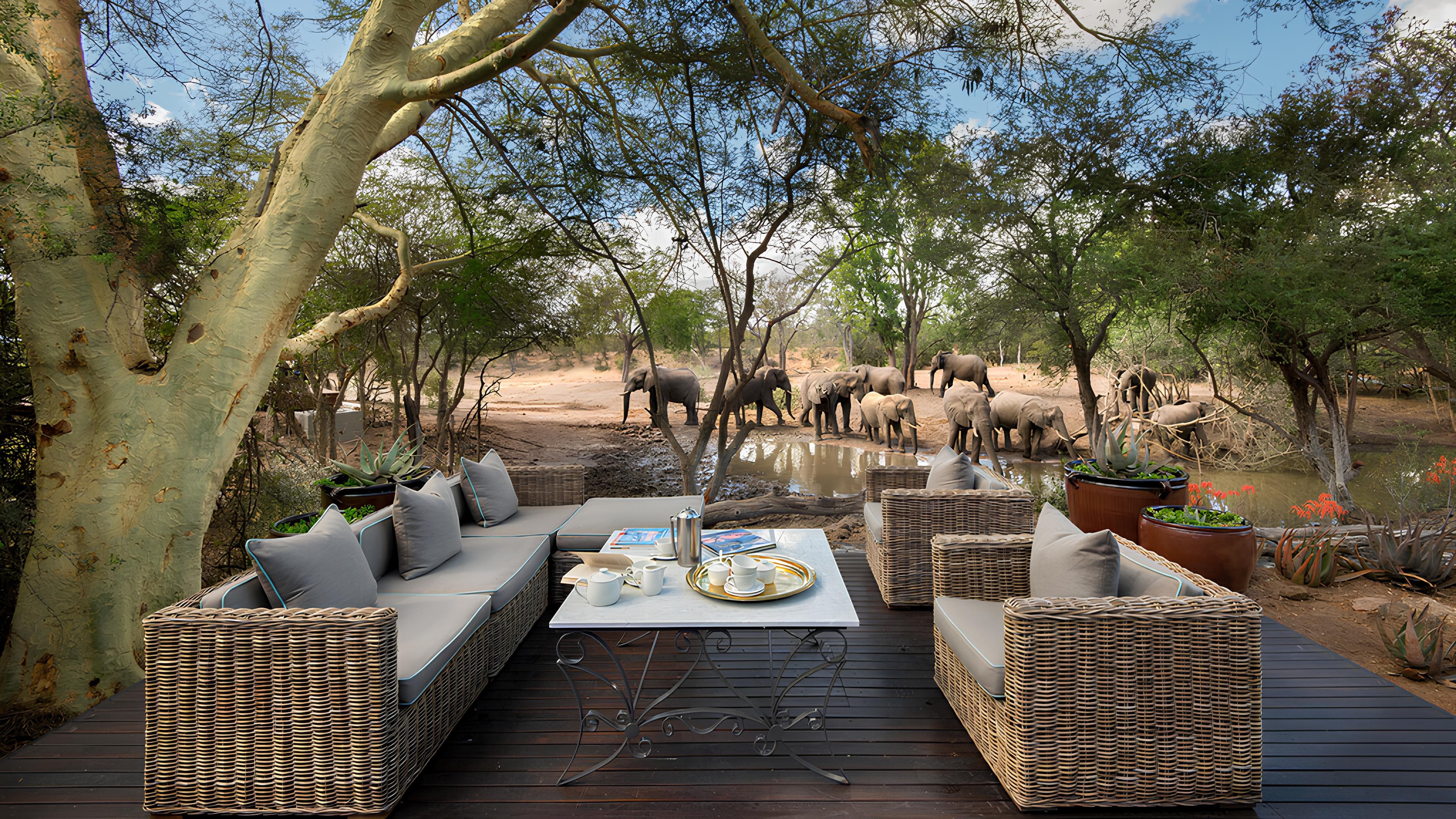 South Africa Safari - Hero 2