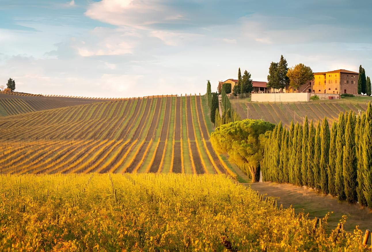 Italy Wine Itinerary - Hero 2