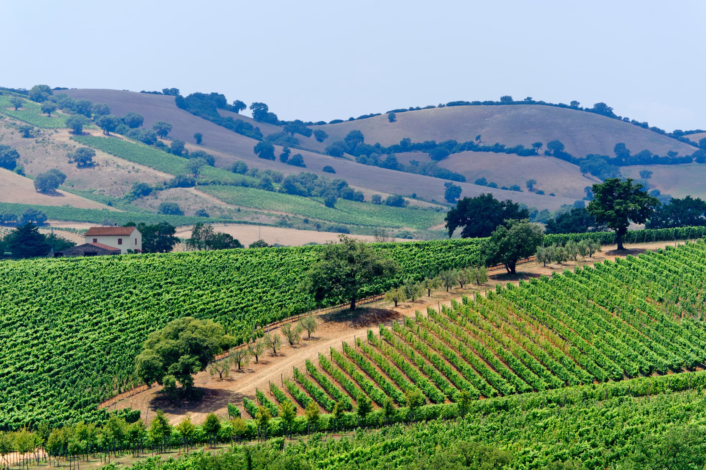 A Culinary and Wine Tour of Tuscany - Hero 4