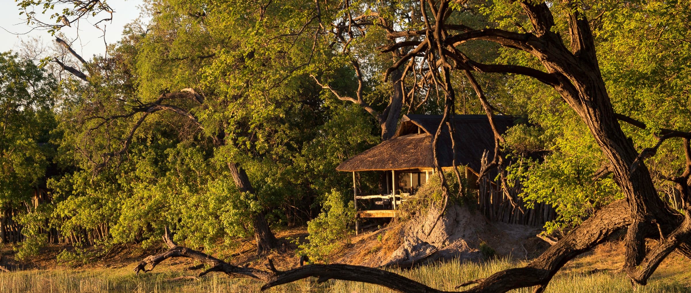 Wilderness Safaris - Hero