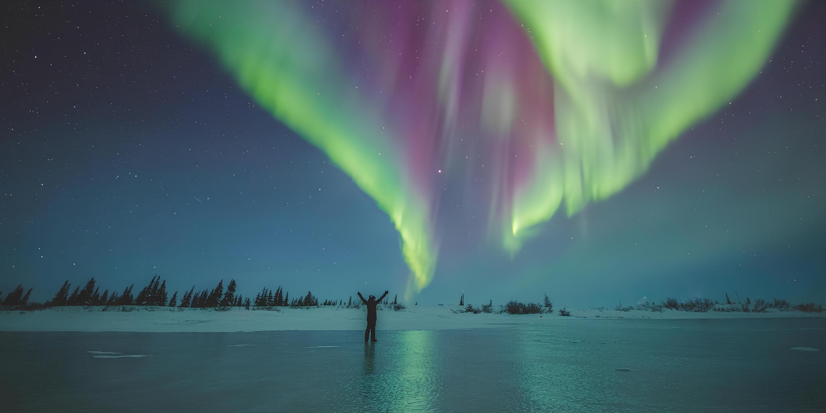 Bears, Belugas and Aurora Borealis - Hero 4
