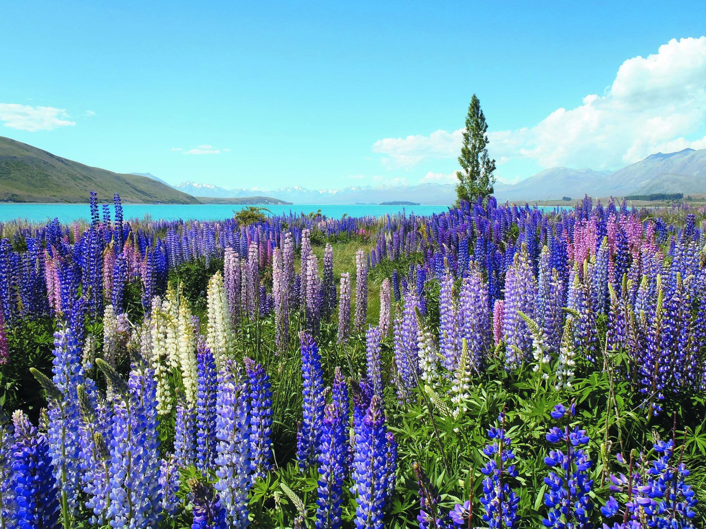 Tauck: Alaska - Call of the Wild - Hero 3