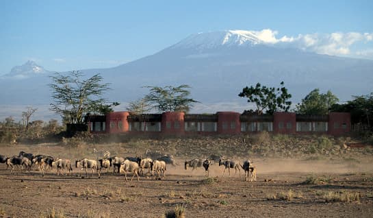 Amboseli Serena Safari Lodge