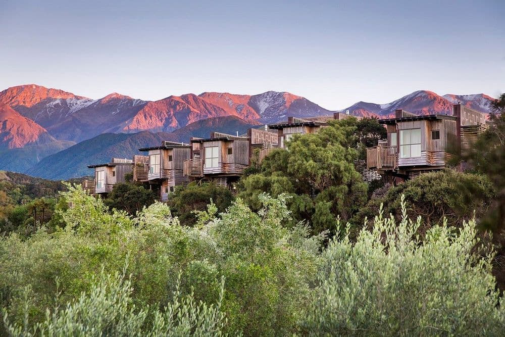 Hapuku Lodge + Tree Houses