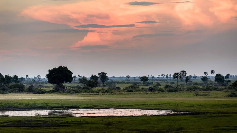 Xigera Safari Lodge