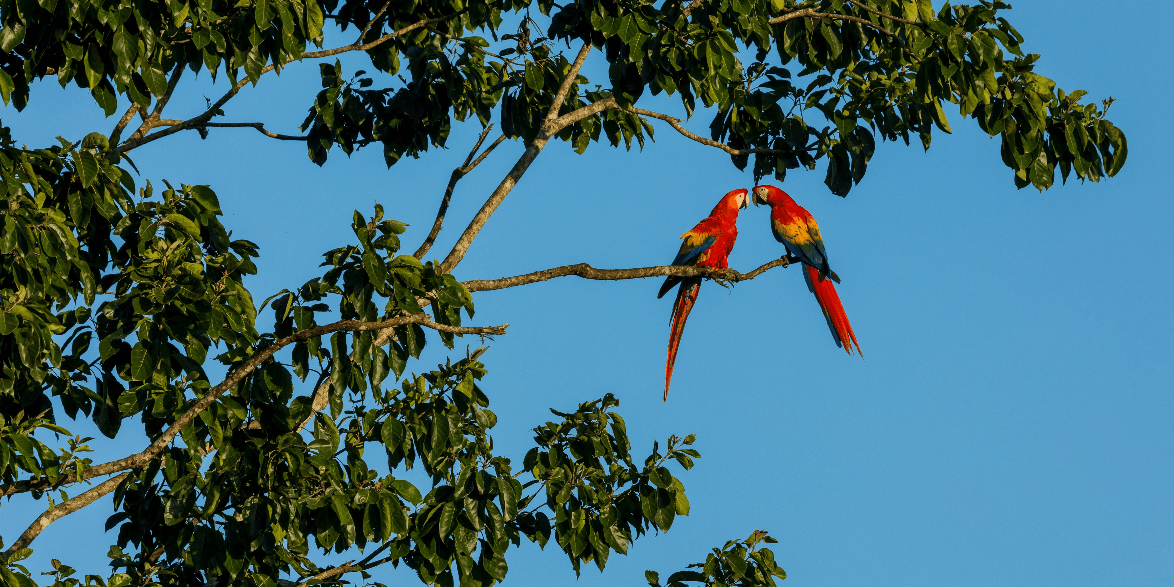 Costa Rica