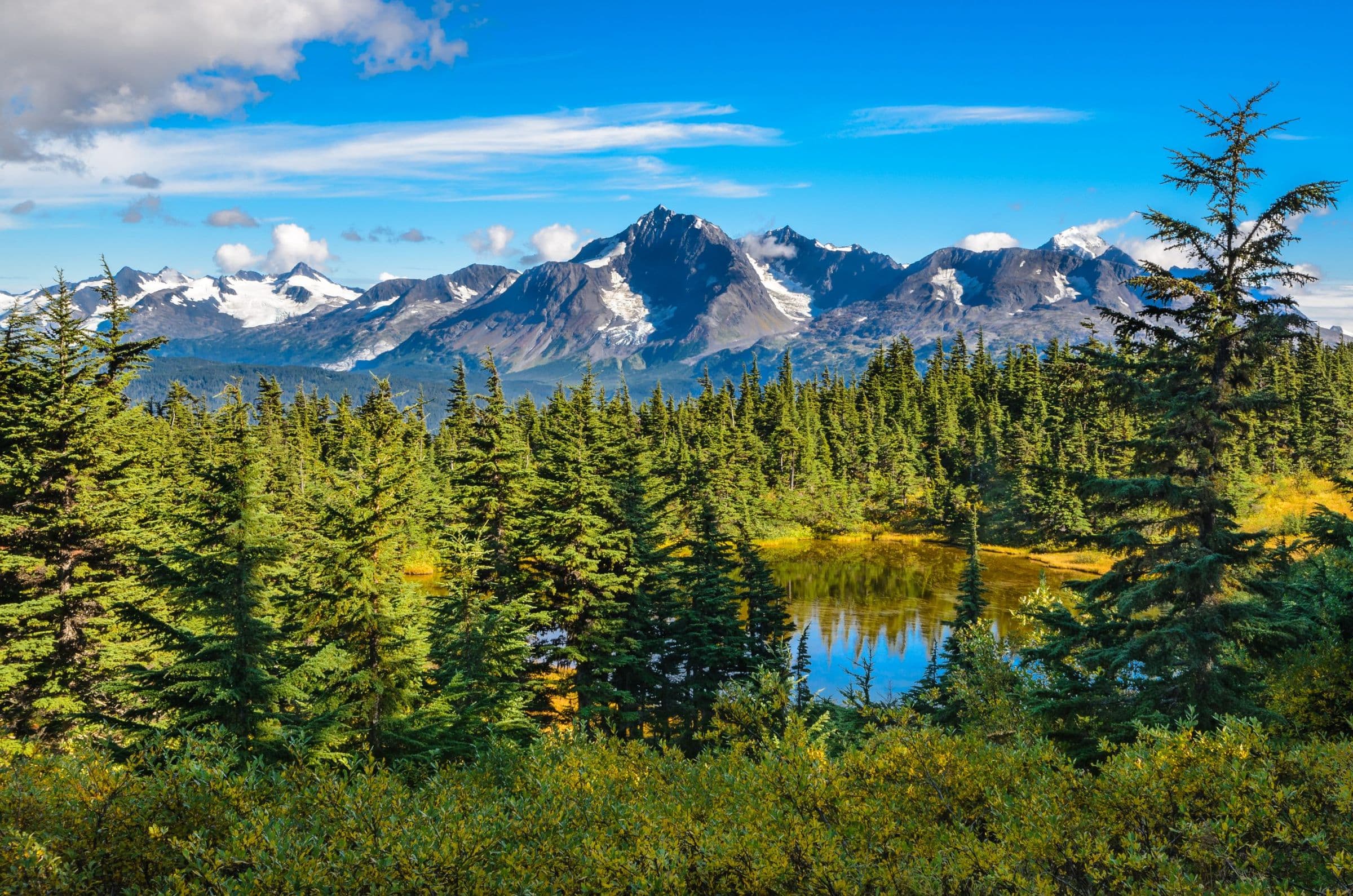 Tauck: Alaska - Call of the Wild - Hero 2