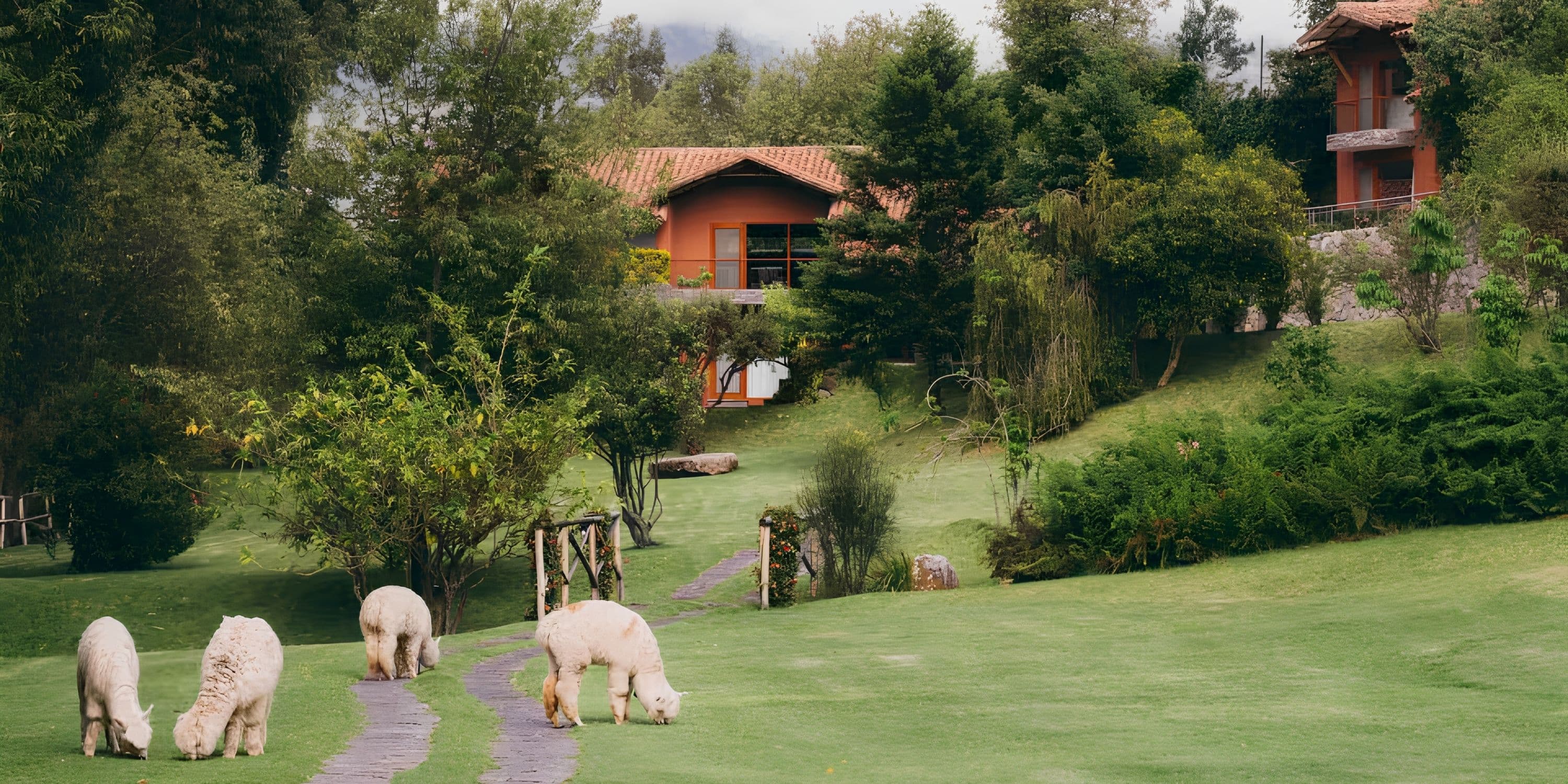 Belmond Rio Sagrado