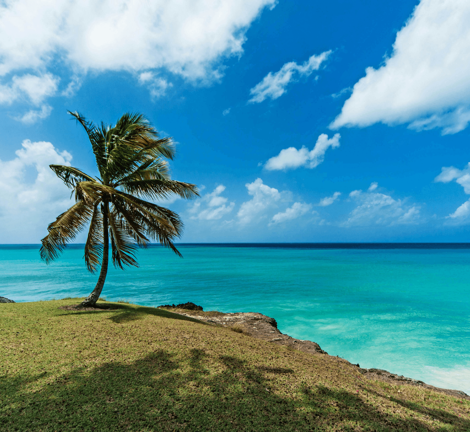 Caribbean Barbados