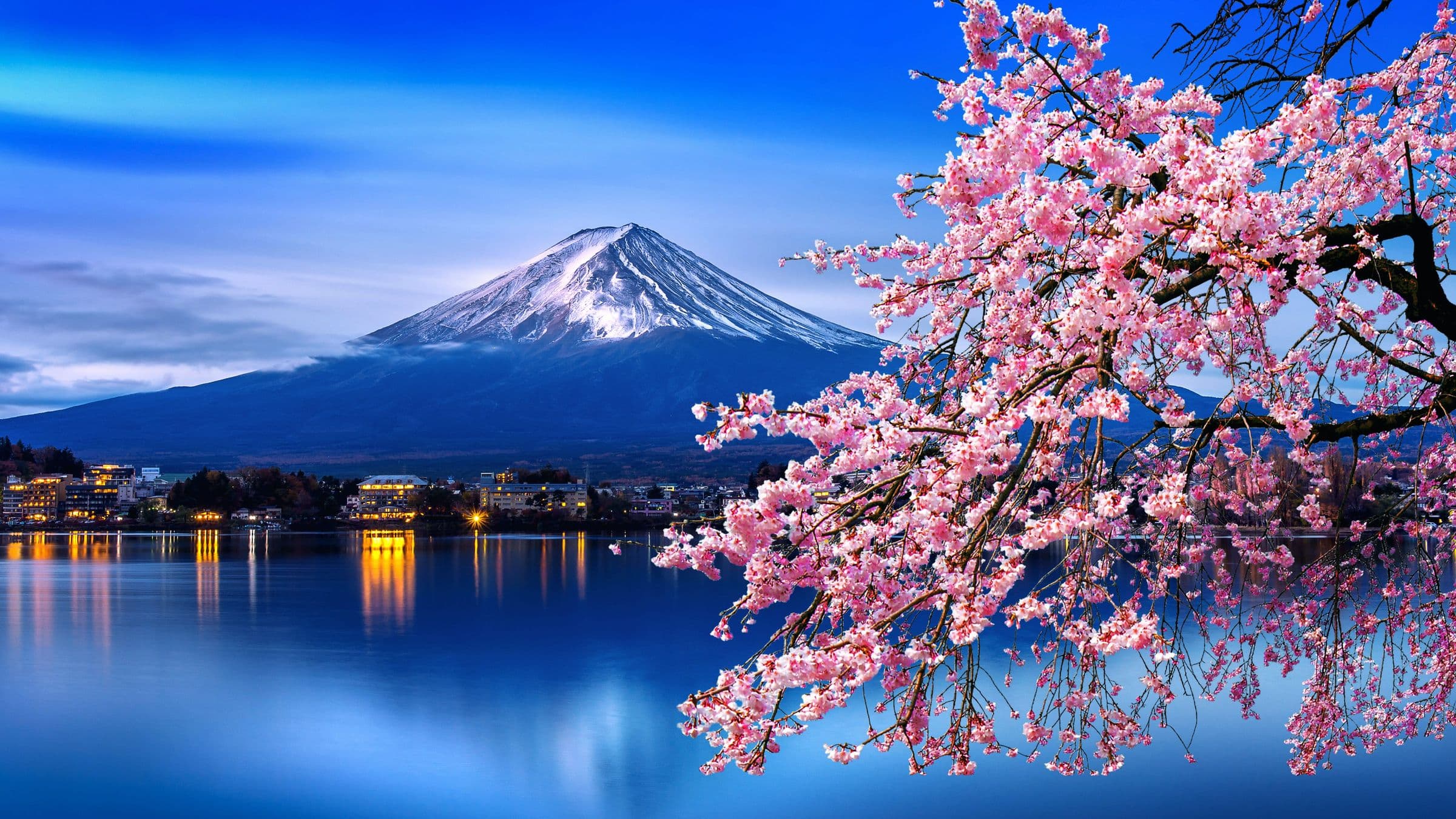 Japan in Bloom - Hero 2