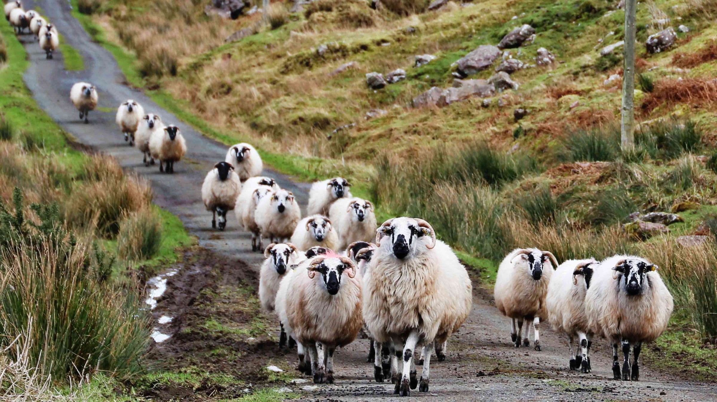 Ireland: The Wild Atlantic Way - Hero 2