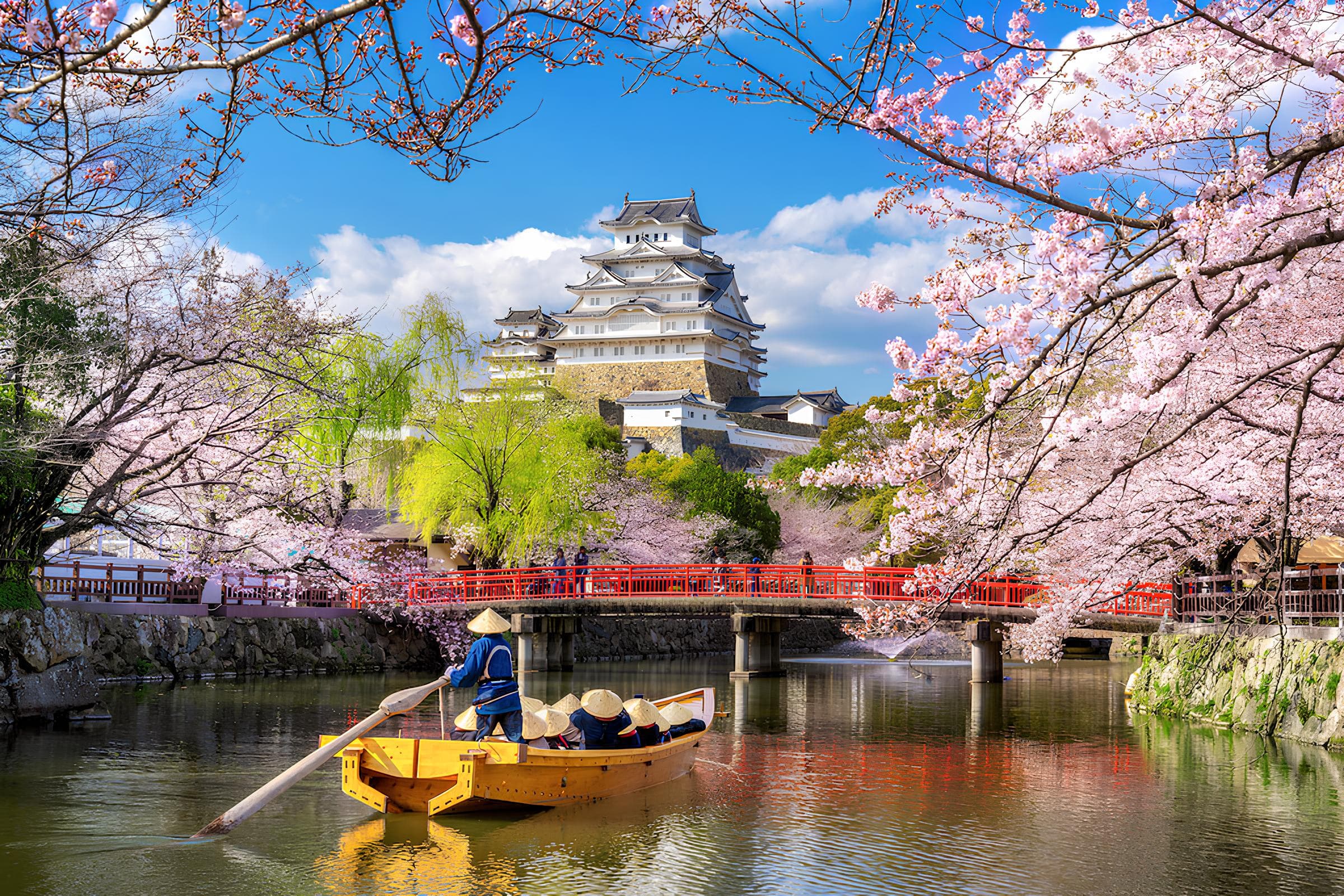 Culture and Cuisine in Japan - Hero 5